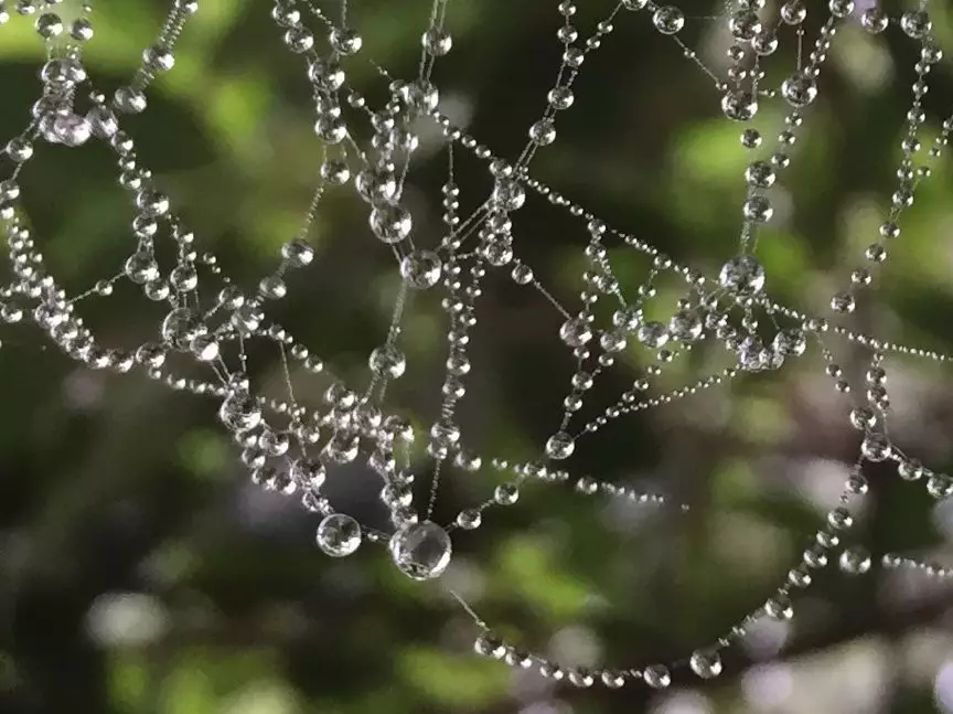 【HyperMesh宝典】之空间变换之美（独家美图放送）的图32